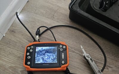 Finding Hidden Termites with a Borescope Camera